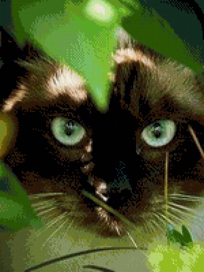 котик на охоте - охота, кошки, лето - предпросмотр