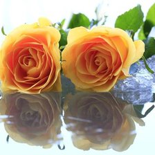 Схема вышивки «розы»