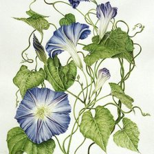 Схема вышивки «№854417»