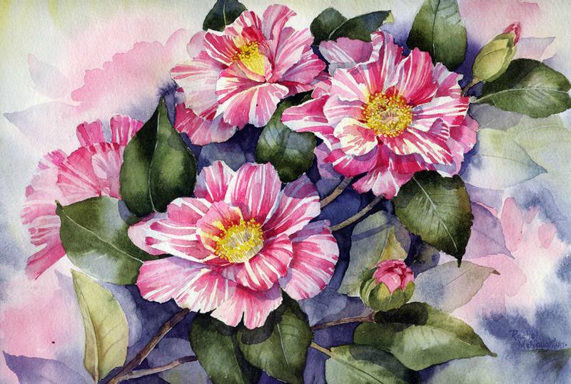 №854528 - цветы - оригинал