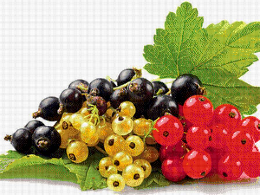 №854561 - кухня.натюрморт.фрукты.ягоды - предпросмотр