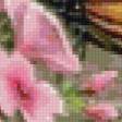 Предпросмотр схемы вышивки «Бабочки и цветы» (№854654)
