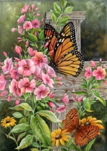 Бабочки и цветы - бабочки, насекомые, природа, цветы - оригинал
