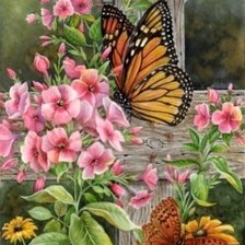Оригинал схемы вышивки «Бабочки и цветы» (№854654)