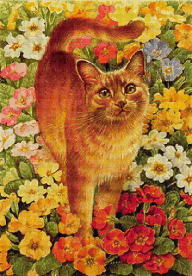 Рыжик - кот, цветы, природа, животные - предпросмотр