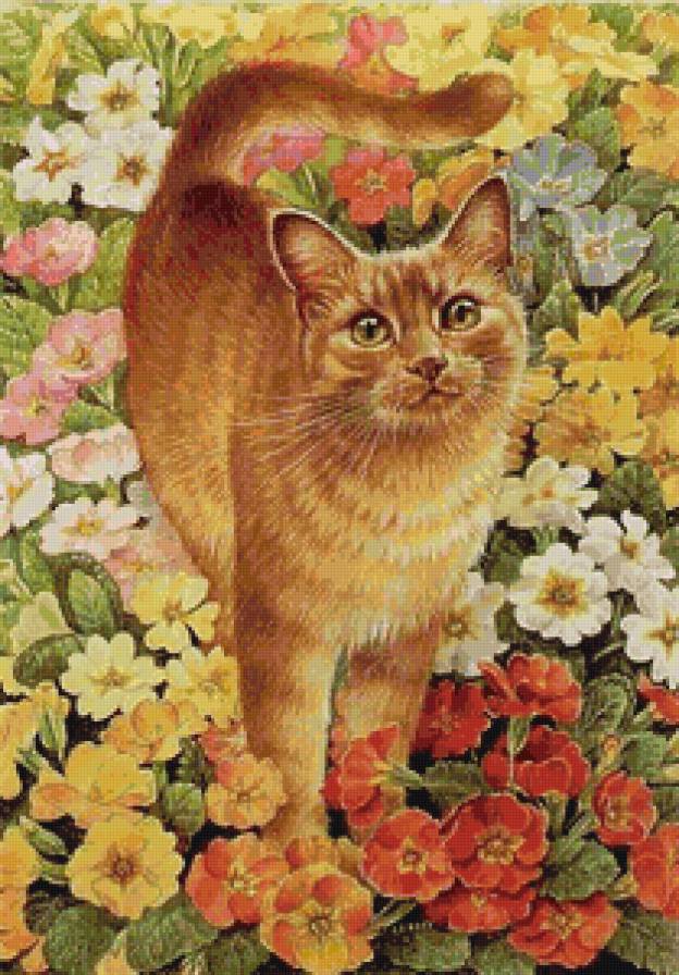 Рыжик (не яркий) - природа, цветы, кот, животные - предпросмотр