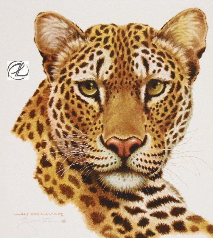 Леопард портрет - животные, дикие кошки - оригинал