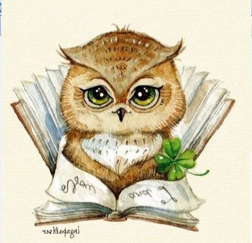 совушка - природа, совы, красота - оригинал