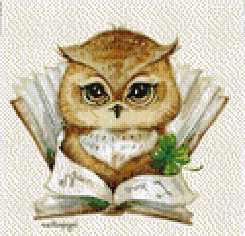 совушка - красота, совы, природа - предпросмотр