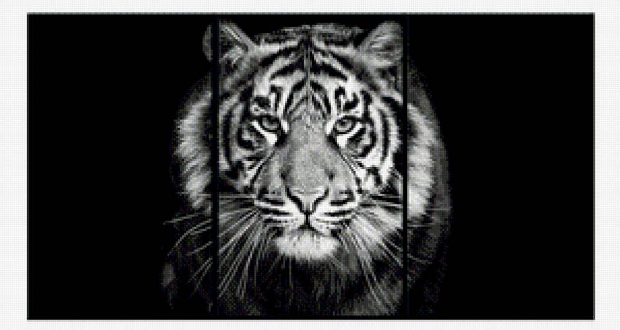тигр - кошки, животные - предпросмотр