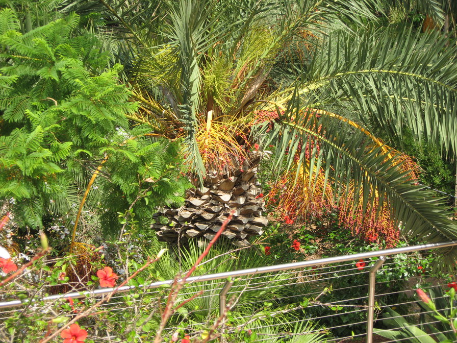 Сицилия, Италия - оригинал