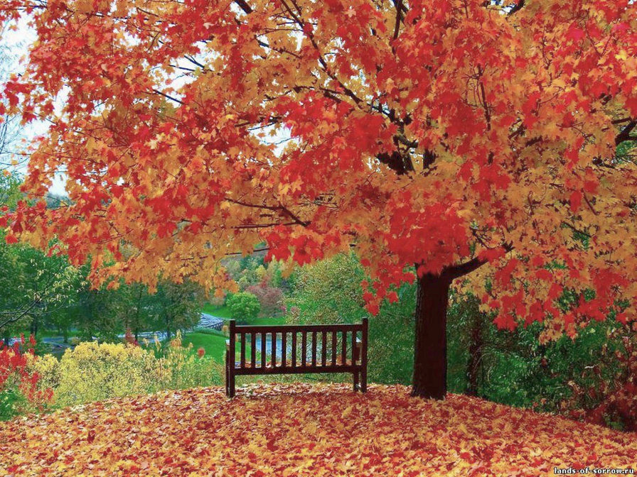 Пейзаж2 - картина - оригинал