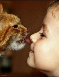 не умывают ребенка совсем))) - кошка, дружба, дети - оригинал