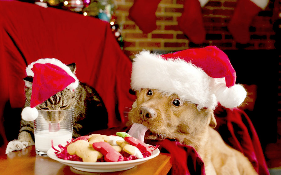 Новый год - фото - оригинал