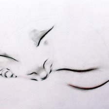 Схема вышивки «коша»