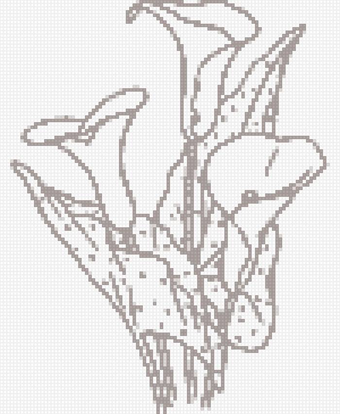 каллы - предпросмотр