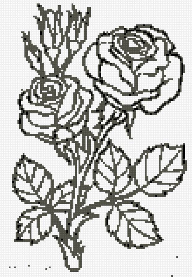 роза рисунок - предпросмотр