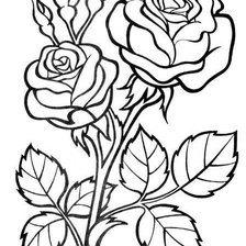 Оригинал схемы вышивки «роза рисунок» (№855636)