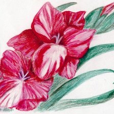 Схема вышивки «цветочки»