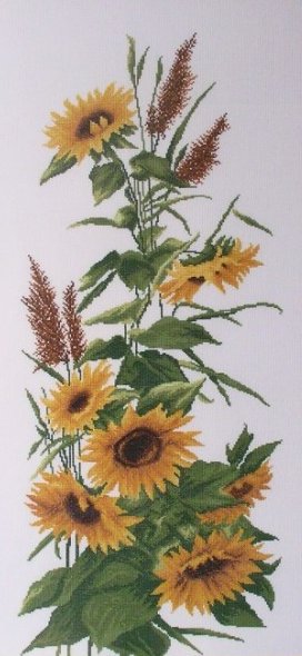 подсолнухи - подсолнухи - оригинал