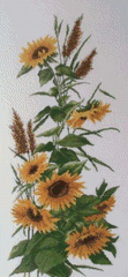 подсолнухи - подсолнухи - предпросмотр