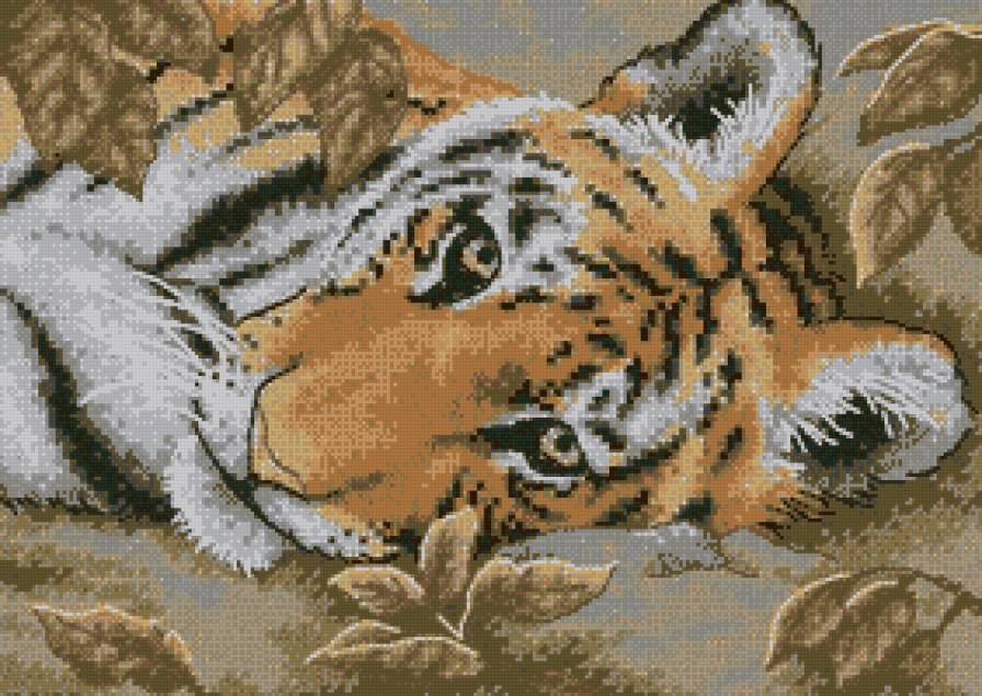 Тигр - предпросмотр