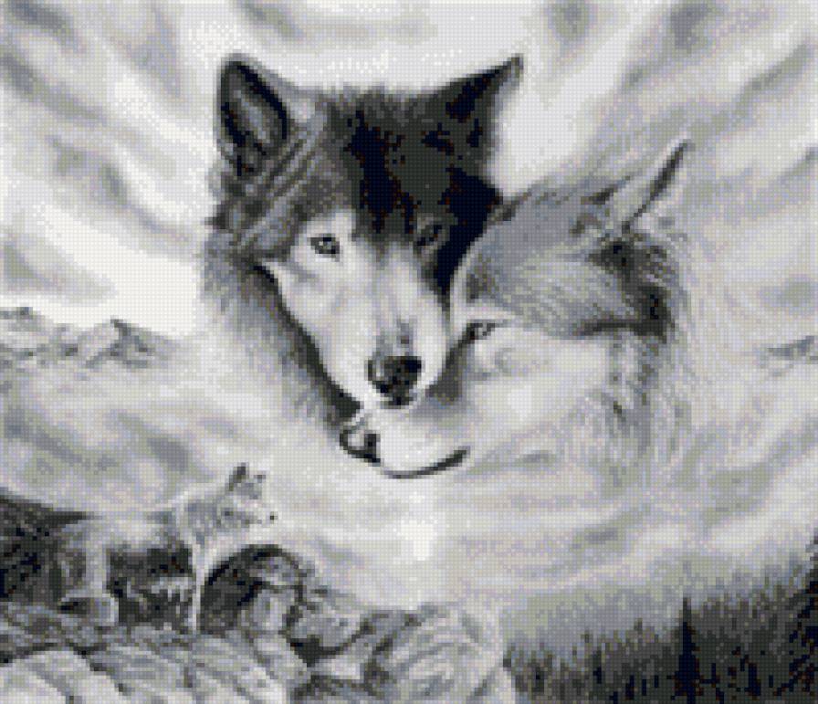 пара волков - волки - предпросмотр