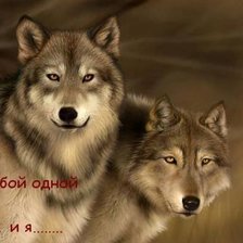 Оригинал схемы вышивки «пара волков» (№856285)