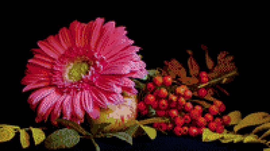 гербера - предпросмотр