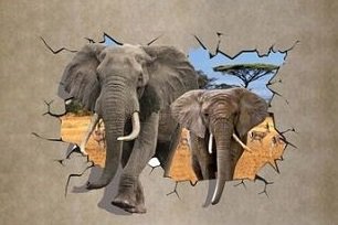 Слоны - природа, животные - оригинал