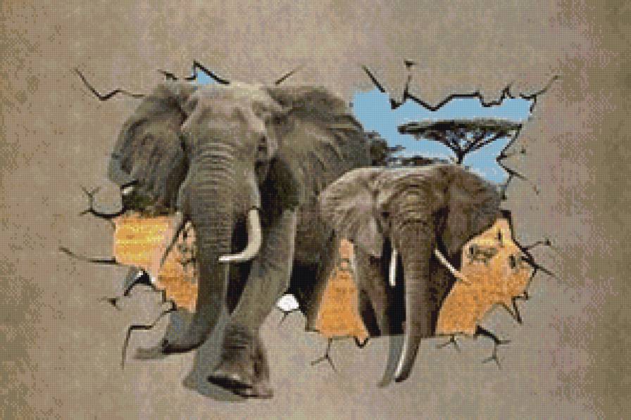 Слоны - природа, животные - предпросмотр