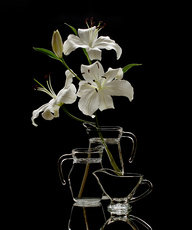 три силуэта - оригинал