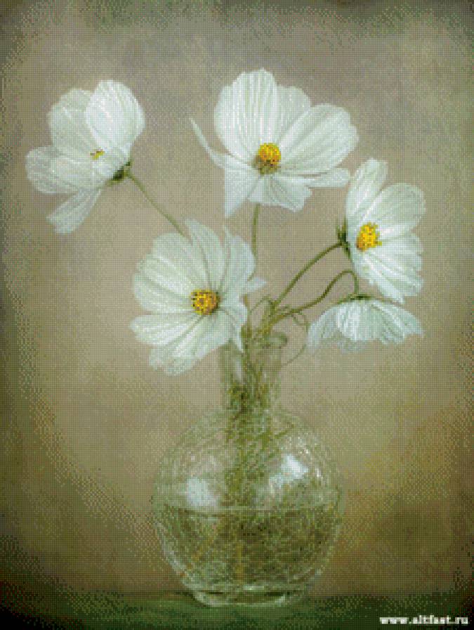 №856777 - цветы.натюрморт - предпросмотр