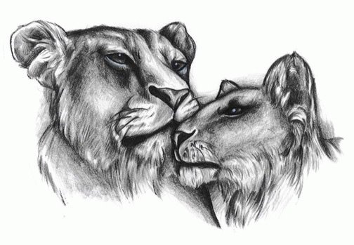Львы - животное, любовь, львы - оригинал
