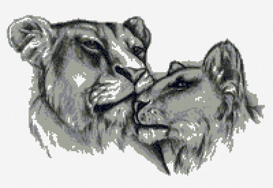 Львы - животное, любовь, львы - предпросмотр