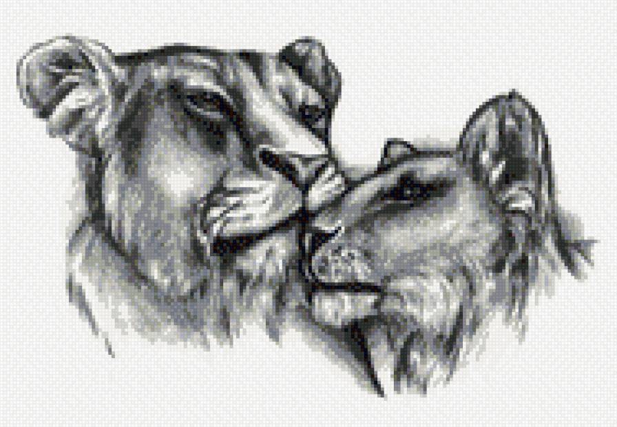 №856920 - предпросмотр