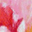 Предпросмотр схемы вышивки «тюльпаны» (№856943)
