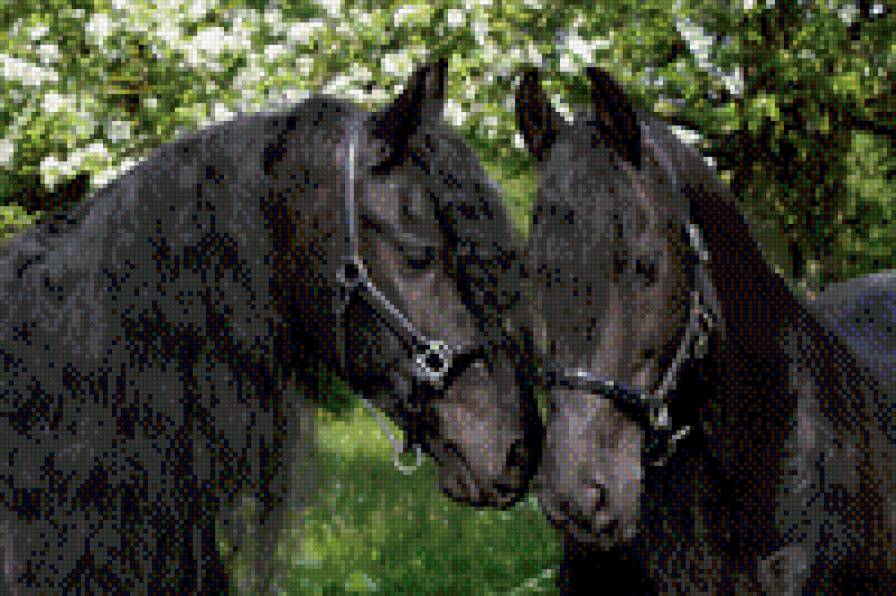 Нежность - животные, лошади, чувства - предпросмотр