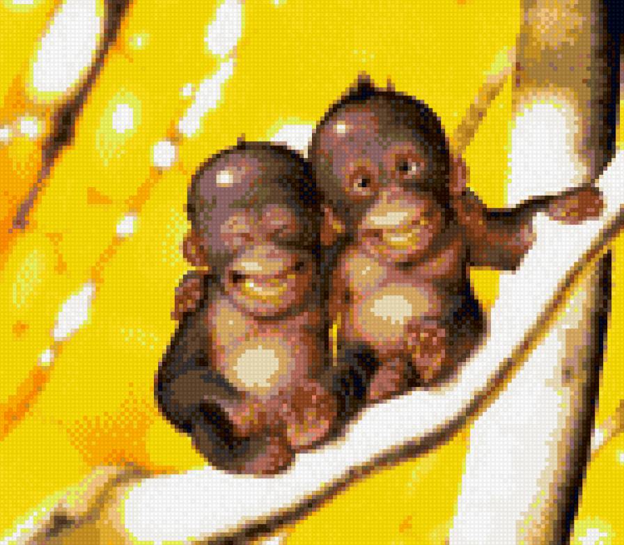 Обезьянки - обезьянки, смешное, животные - предпросмотр