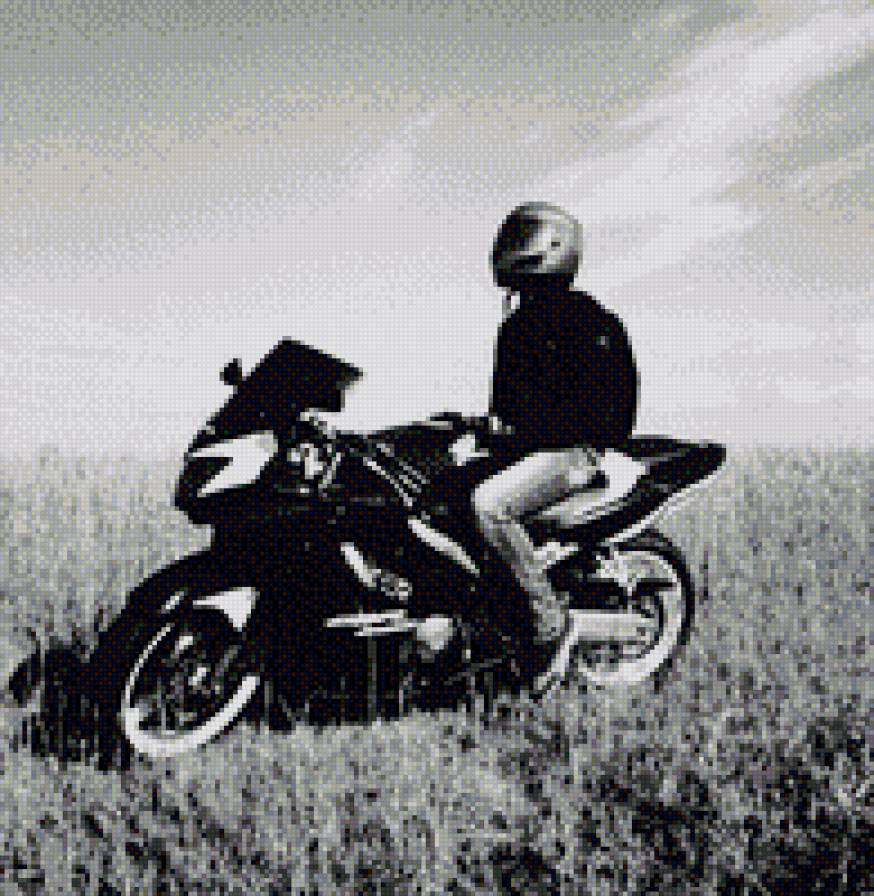 №857032 - предпросмотр