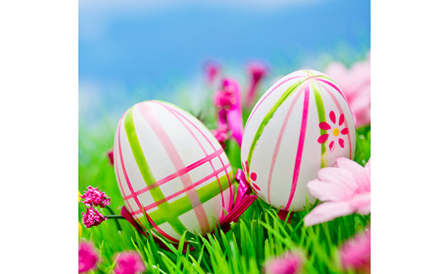 Пасхальные яйца - радость, пасха, яйца, праздник - оригинал