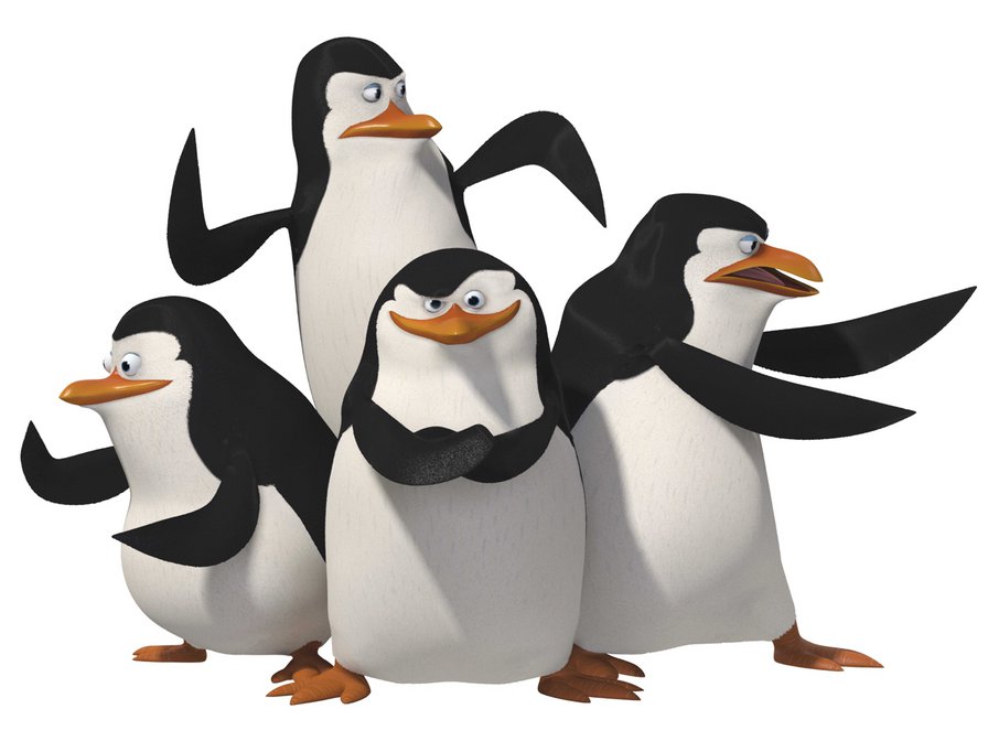 Пингвины - пингвины, животные, мадагаскар, смешное, мультик - оригинал