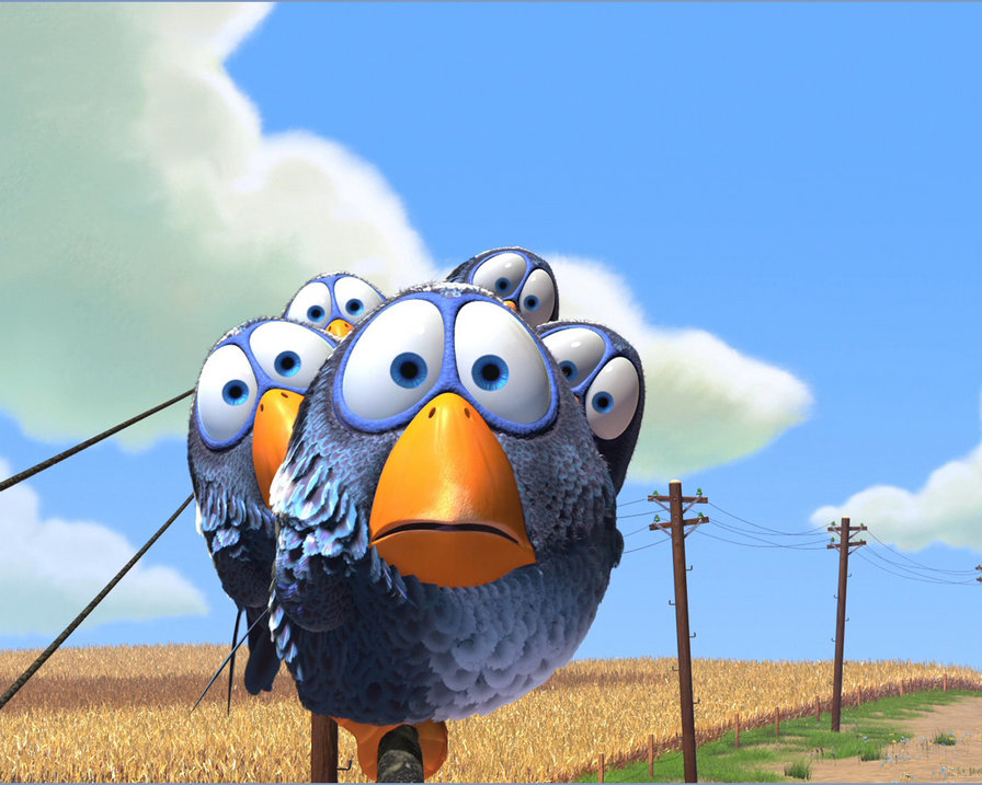 Птицы - приколы, мультик, воробьи, птицы, смешное - оригинал