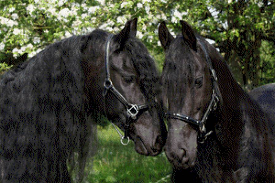 лошадки - предпросмотр