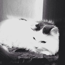 Схема вышивки «№857205»