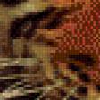Предпросмотр схемы вышивки «Тигры» (№857239)