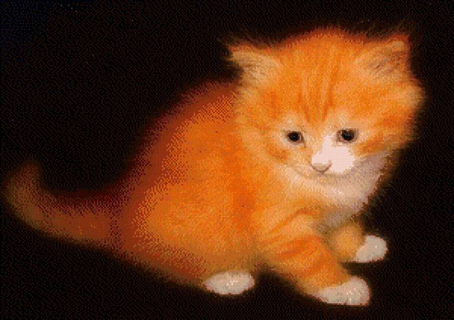 №857282 - коты - предпросмотр