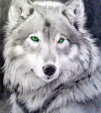 Схема вышивки «№857295»