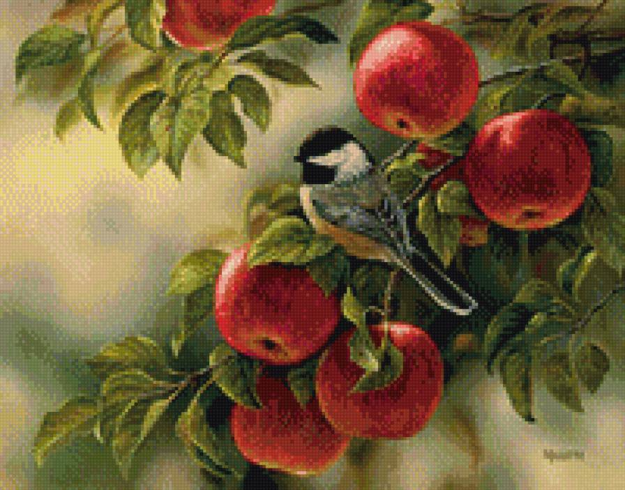 синица и яблоки - предпросмотр