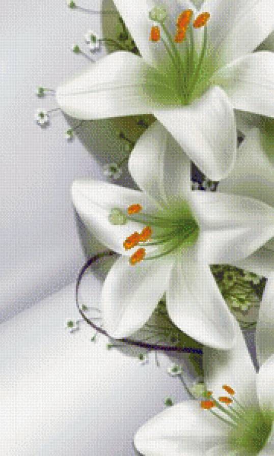 №857323 - цветы - предпросмотр